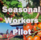 Агентство з працевлаштування за кордоном Seasonal Workers